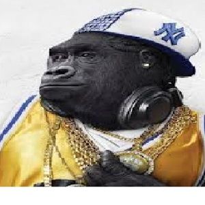 Meet your Posher, Tawe